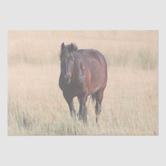 Papel De Seda Brown Bay Wild Mustang Horse