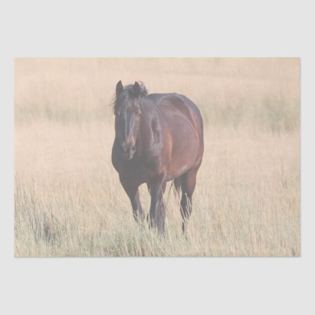 Papel De Seda Brown Bay Wild Mustang Horse (Frente )
