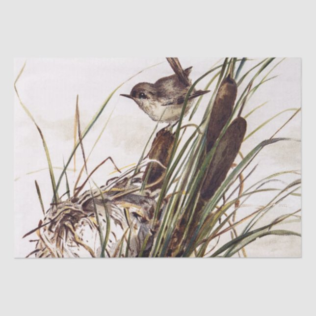 Papel De Seda Brown Bird e Nest Decoupage Set Wren 2 de 4 (Frente )