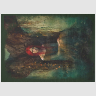 Papel De Seda Bruxa do pântano