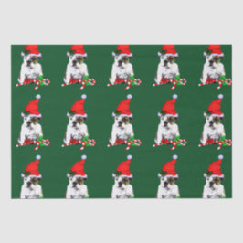 Papel De Seda Bulldog no Natal do Papai Noel