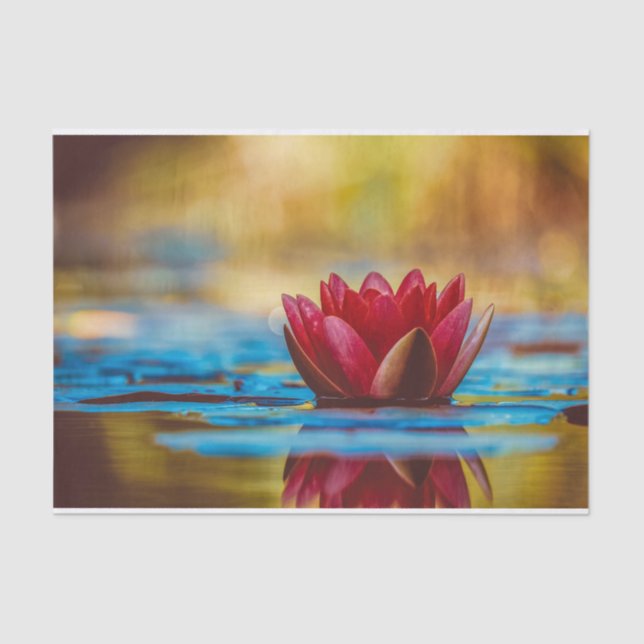 Papel De Seda Burgundy Water Lily (Frente )