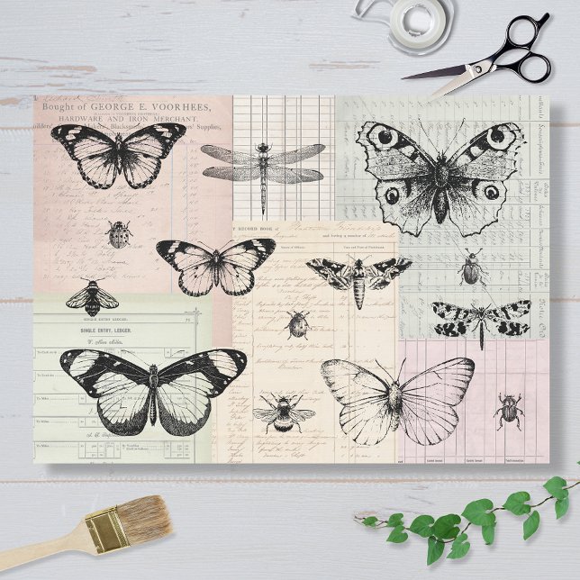 Papel De Seda Butterflies and Bugs (Criador carregado)