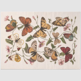 Papel De Seda Butterfly & Moth por Paul Gervais