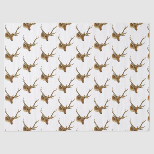 Papel De Seda Cabeça de Cerveja com Média-Barreira #1 (Frente )