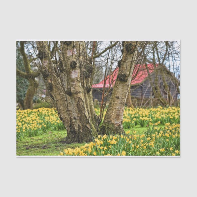 Papel De Seda Cabina de Verão Completa, Árvore Antiga e Flores A (Frente )