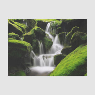 Papel De Seda Cachoeira Nature Inspirations na Coreia do Sul