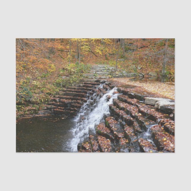Papel De Seda Cachoeira no Laurel Hill State Park II (Frente )