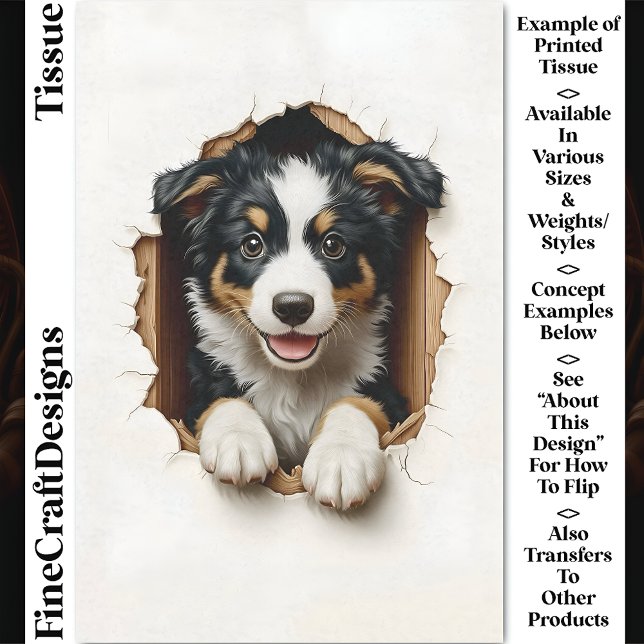 Papel De Seda Cachorrinho Border Collie Fofo Espiando CN7 Decoup (Criador carregado)