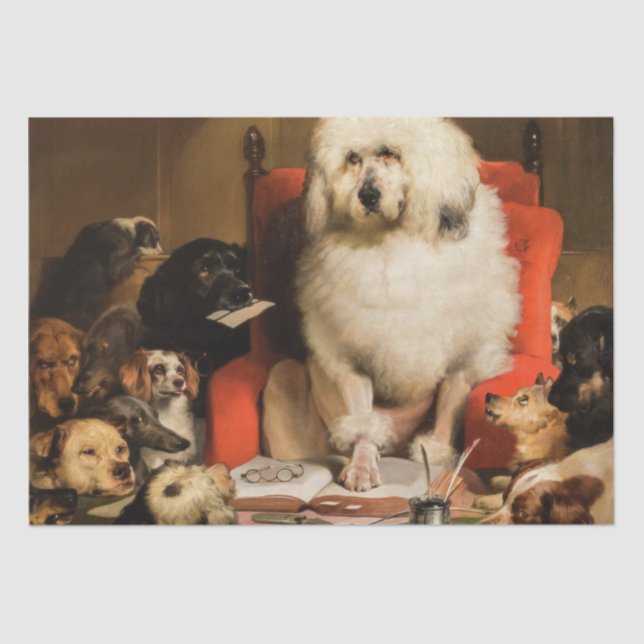 Papel De Seda Cachorro como juiz que determina a lei em tribunal (Frente )