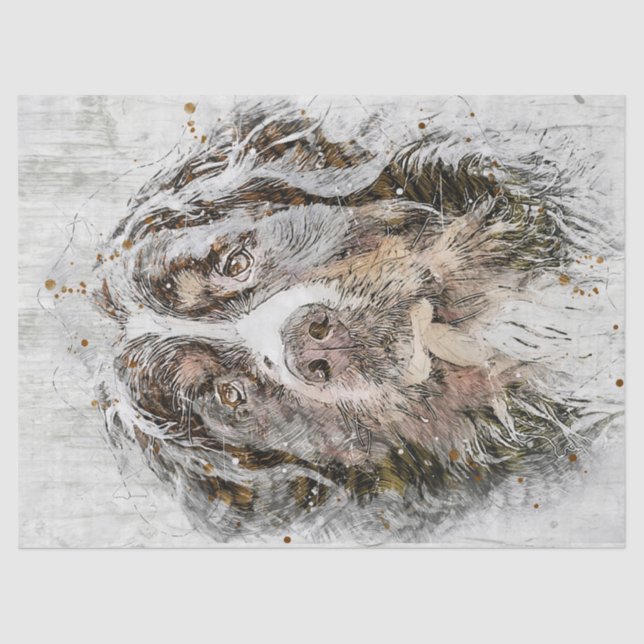 Papel De Seda Cachorro da Montanha Bernese (Frente )