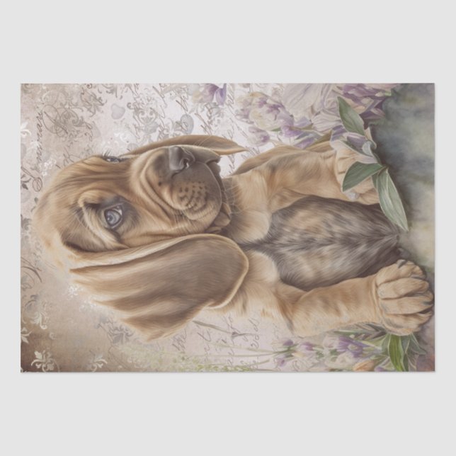 Papel De Seda Cachorro de Sangue (Frente )