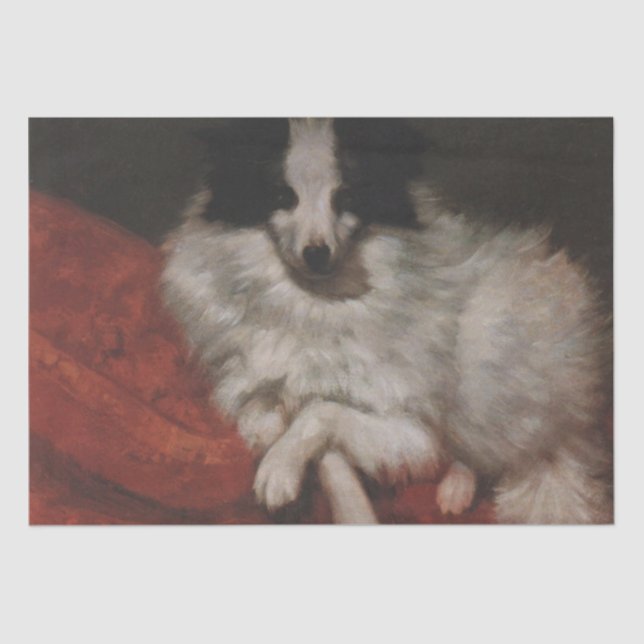 Papel De Seda Cachorro Fluffy Sentado em uma Luz (Gustave Courbe (Frente )