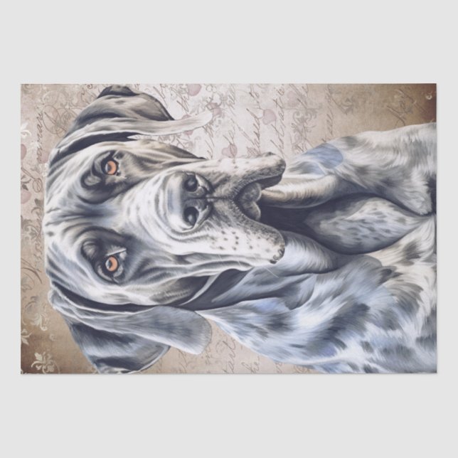 Papel De Seda Cachorro Grande (Frente )