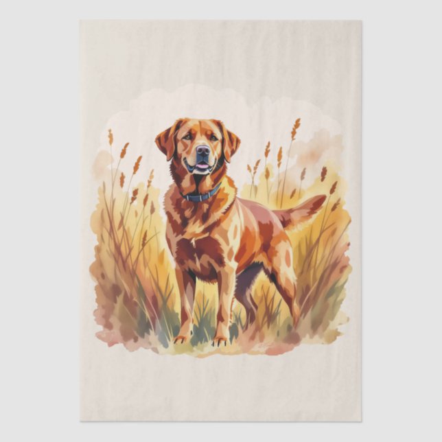 Papel De Seda Cachorro Labrador Retriever Fox Red (Frente )