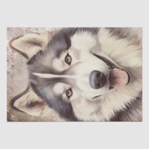 Papel De Seda Cachorro Malamute do Alasca
