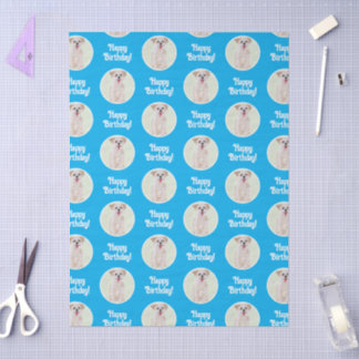 Papel De Seda Cachorro Morkie Azul