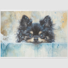 Papel De Seda Cachorro Pomerânia Fofo no Decoupage da Banheira