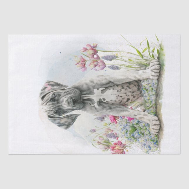 Papel De Seda Cachorro-Pupado-Pãozinho-De-Boca-Gelado (Frente )