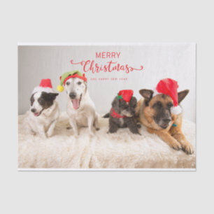 Papel De Seda Cachorros Felizes de Natal em Santa Hats