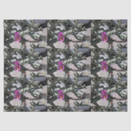 Papel De Seda Cacto Challa em flor