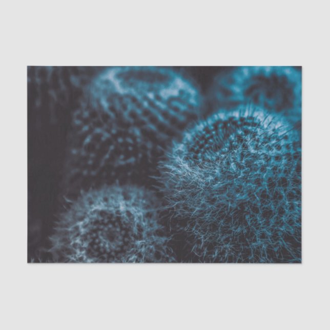 Papel De Seda Cacto Escuro (Frente )