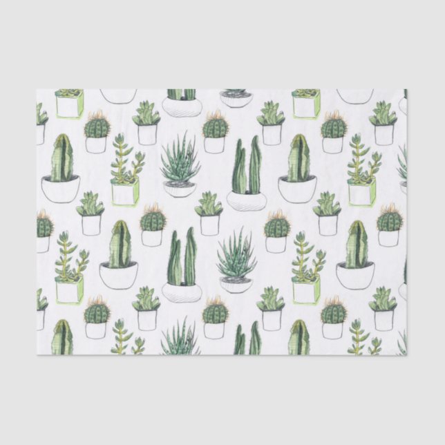 Papel De Seda Cactos de Aquarela e Suculentos (Frente )