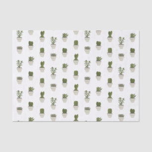 Papel De Seda Cactos e Suculentos - branco - escolha o seu plano