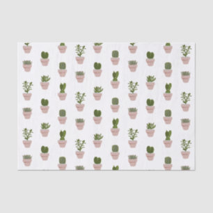 Papel De Seda Cactos e Suculentos - Rosa - Transparente