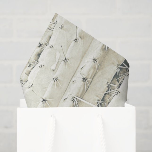 Papel De Seda Cactus Photo Art Neutral Chic Modern Desert (Sacola de presentes)