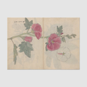 Papel De Seda Caderno de Esboços Pl. 096 por Ariyoshi Kondo