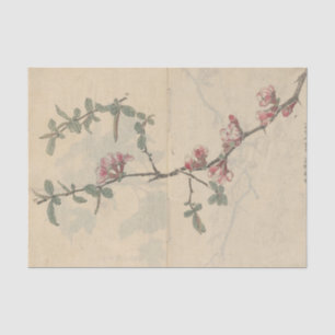 Papel De Seda Caderno de Esboços Pl. 096 por Ariyoshi Kondo