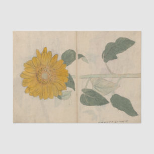 Papel De Seda Caderno de Esboços Pl. 103 por Ariyoshi Kondo