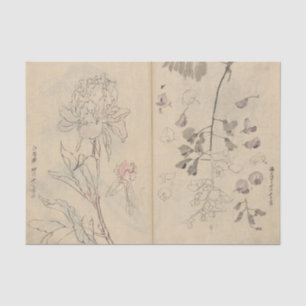 Papel De Seda Caderno de Esboços Pl. 110 por Ariyoshi Kondo