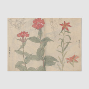 Papel De Seda Caderno de Esboços Pl. 111 por Ariyoshi Kondo
