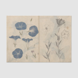 Papel De Seda Caderno de Esboços Pl. 112 por Ariyoshi Kondo