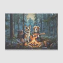 Cães de Acampamento de Contos de Fadas, Música ao
