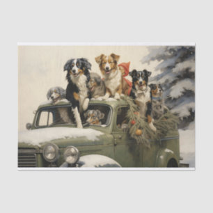 Papel De Seda Cães de Natal num Carro Velho