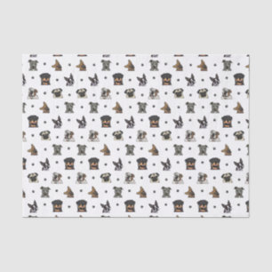 Papel De Seda Cães e patas
