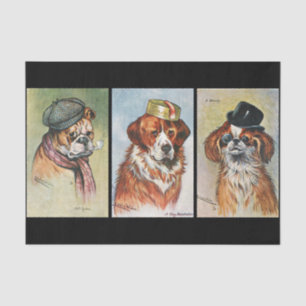 Papel De Seda Cães, tríptico de desenho animado