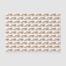 Papel De Seda Calçado de professor de dança moderna lírica Tan