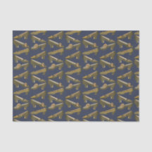 Calçados do século XIX