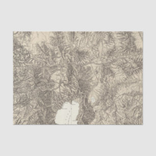 Papel De Seda Califórnia e Nevada