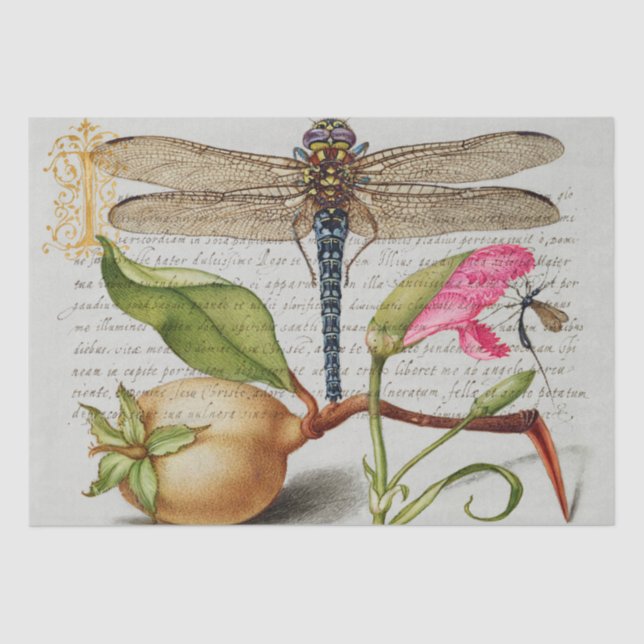 Papel De Seda Caligrafia (Dragonfly, Cravo e pera)  (Frente )