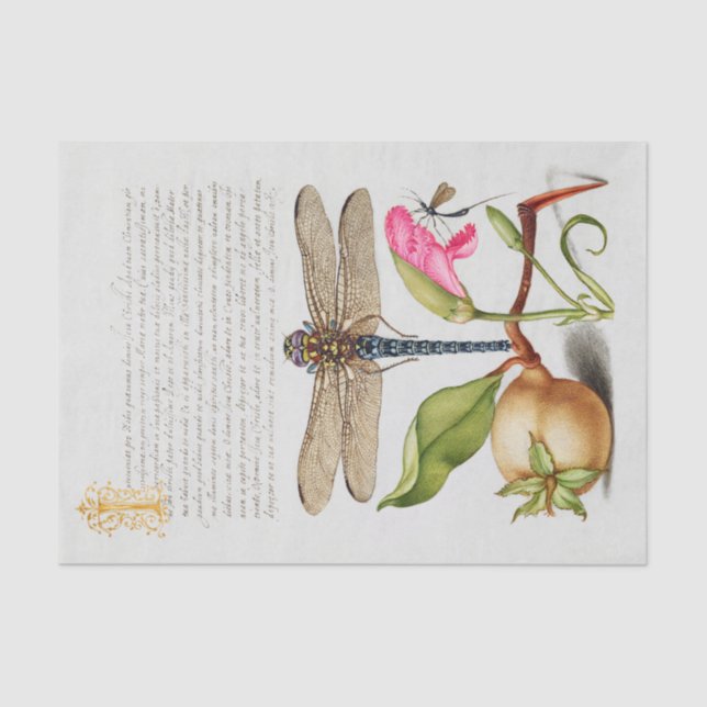 Papel De Seda Caligrafia (Dragonfly, Cravo e pera)     (Frente )