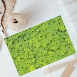 Papel De Seda Camarões verdes brilhantes Floral