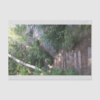 Papel De Seda Caminho através das árvores