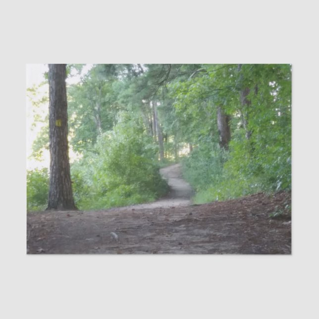 Papel De Seda Caminho através de uma floresta (Frente )