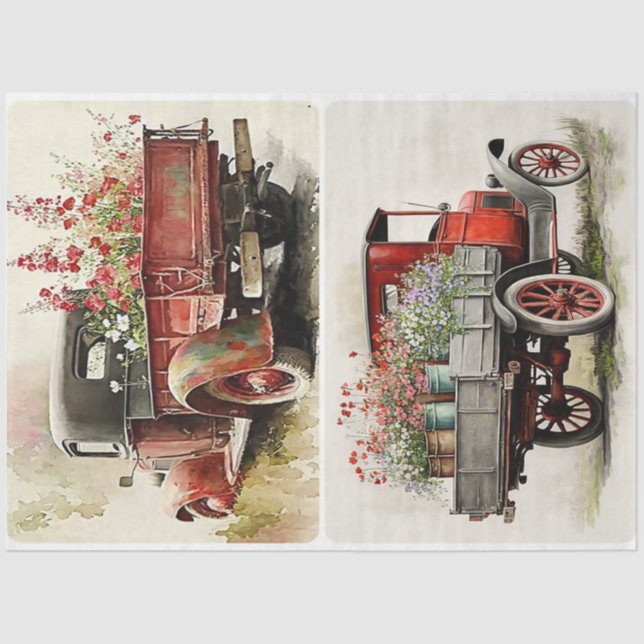 Papel De Seda Caminhões de Jardim (Frente )