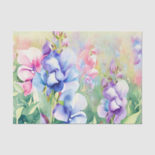 Papel De Seda Campo de Aquarela-Flores-Ervilha-Doce (B)